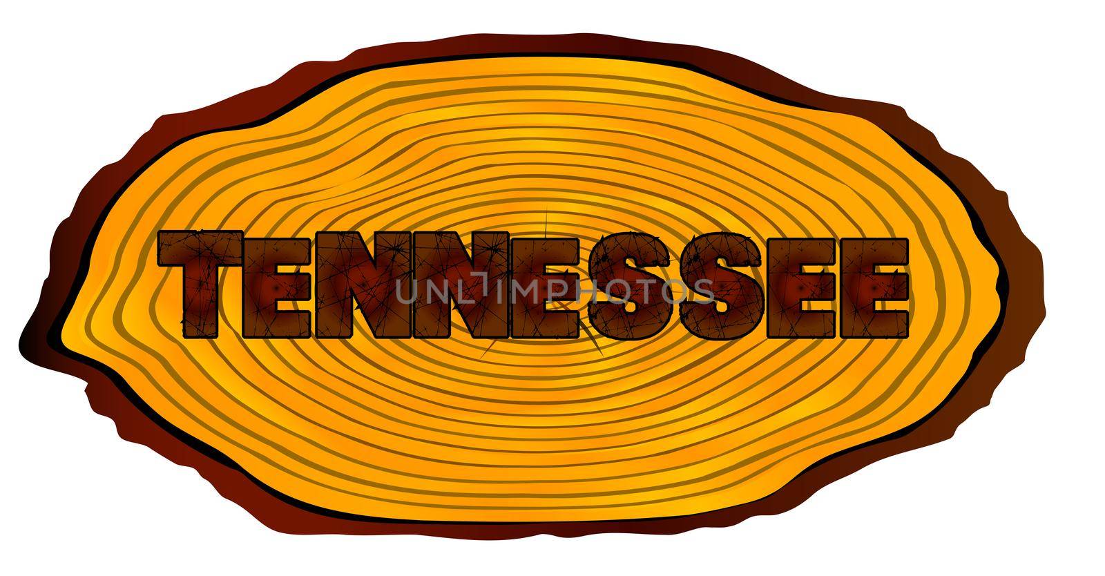 A section of a sawn log with the words TENNESSEE over a white background