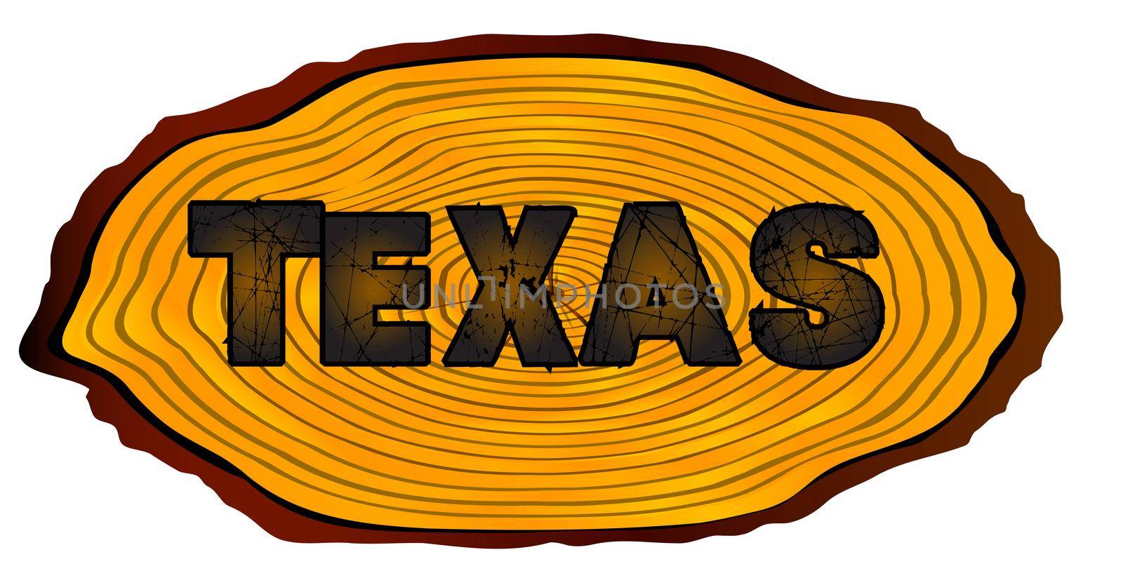 A section of a sawn log with the words TEXAS over a white background