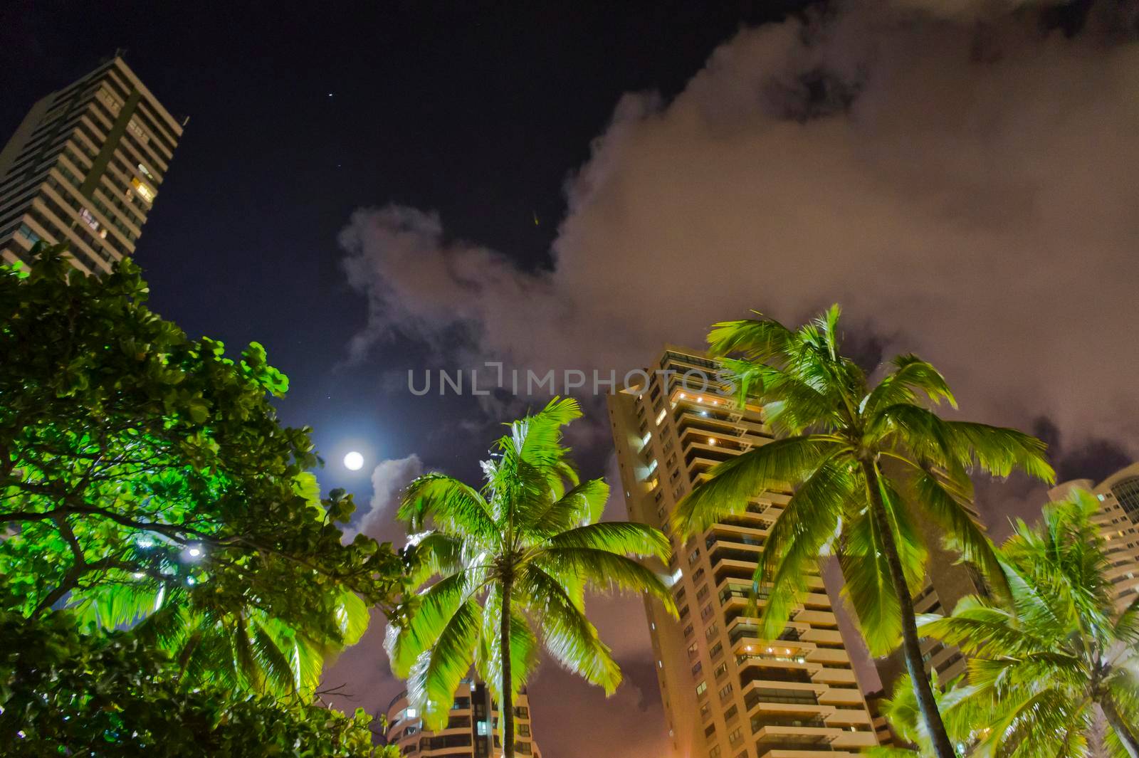 Recife, Beach and modern city view by night, Brazil, South America