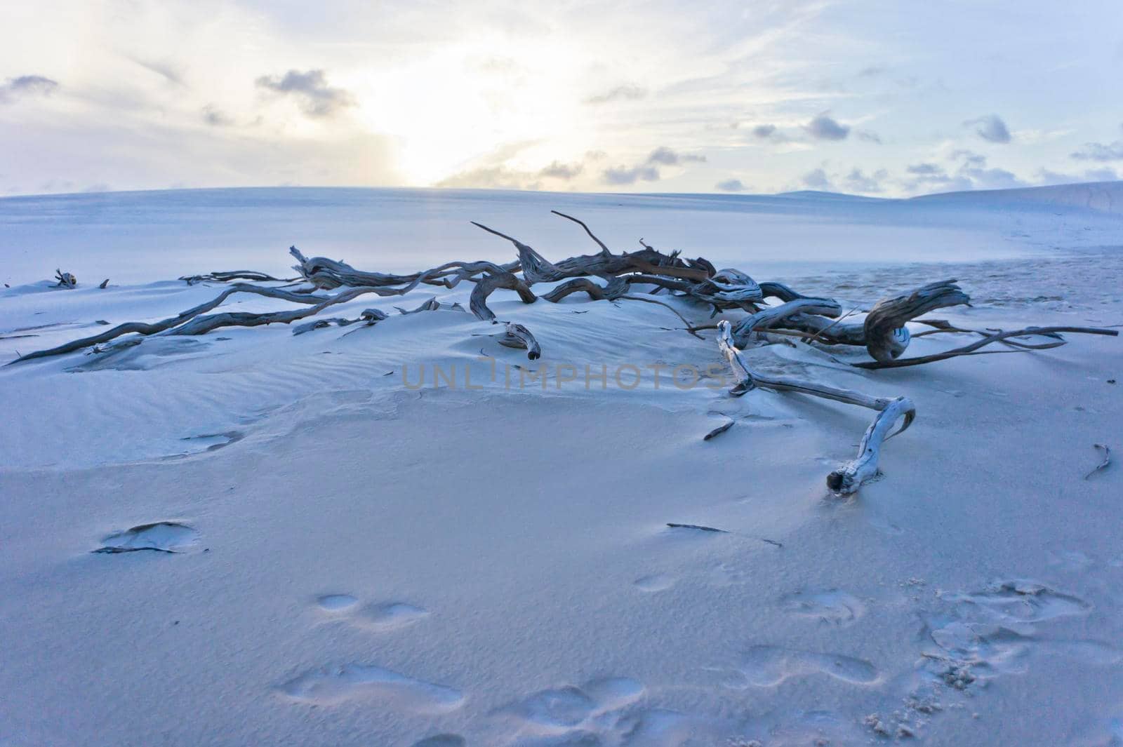 Lencois Maranhenses, Brazil, South America by giannakisphoto