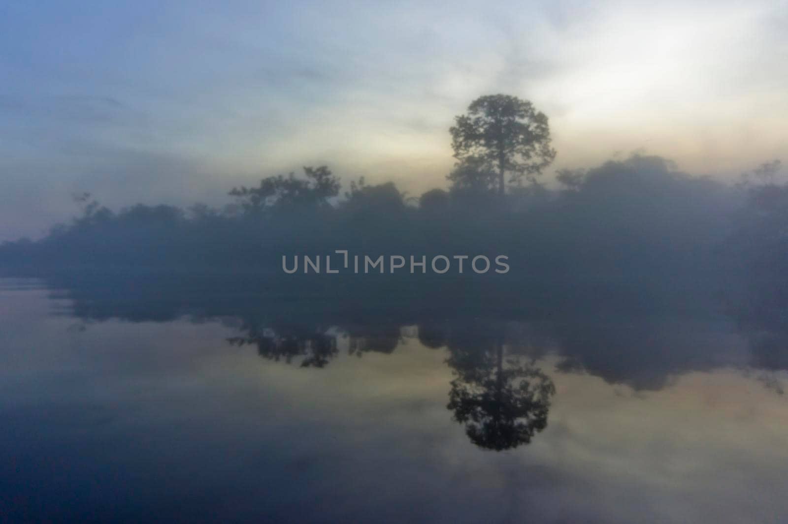 Amazon river, Sunrise view, Brazil, South America by giannakisphoto