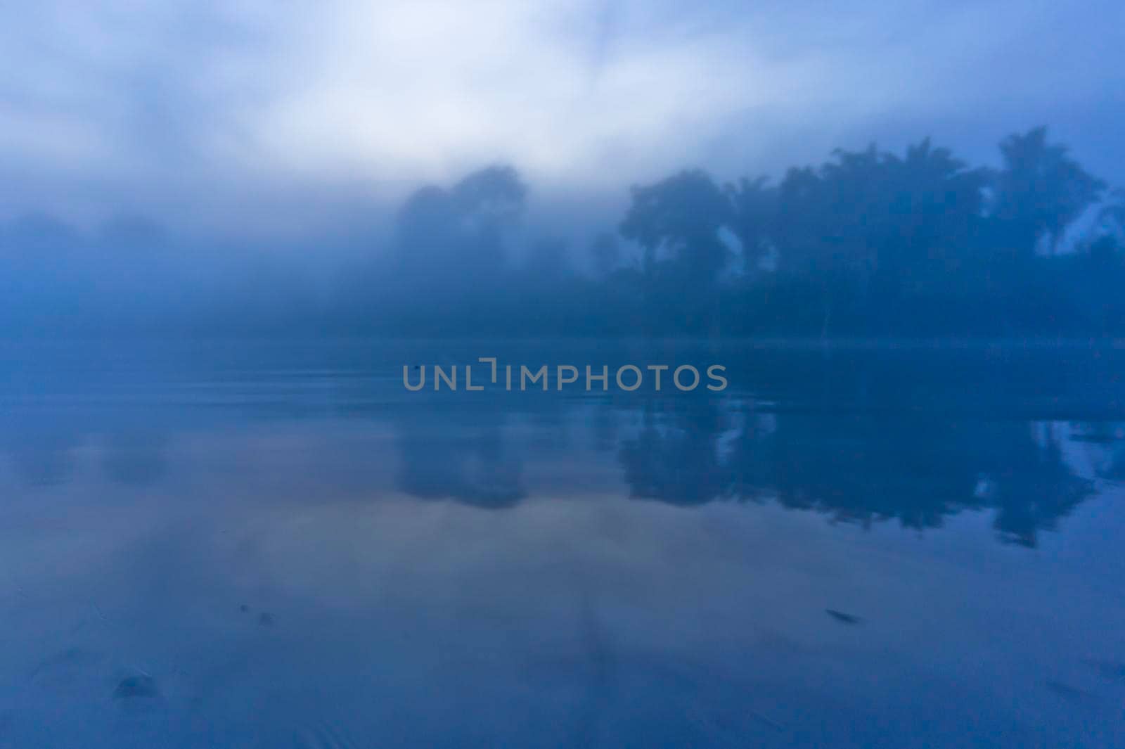 Amazon river, Sunrise view, Brazil, South America by giannakisphoto