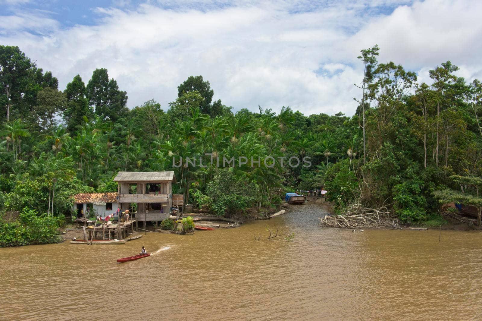 Amazon river view, Indians Village by the river, Brazil, South America
