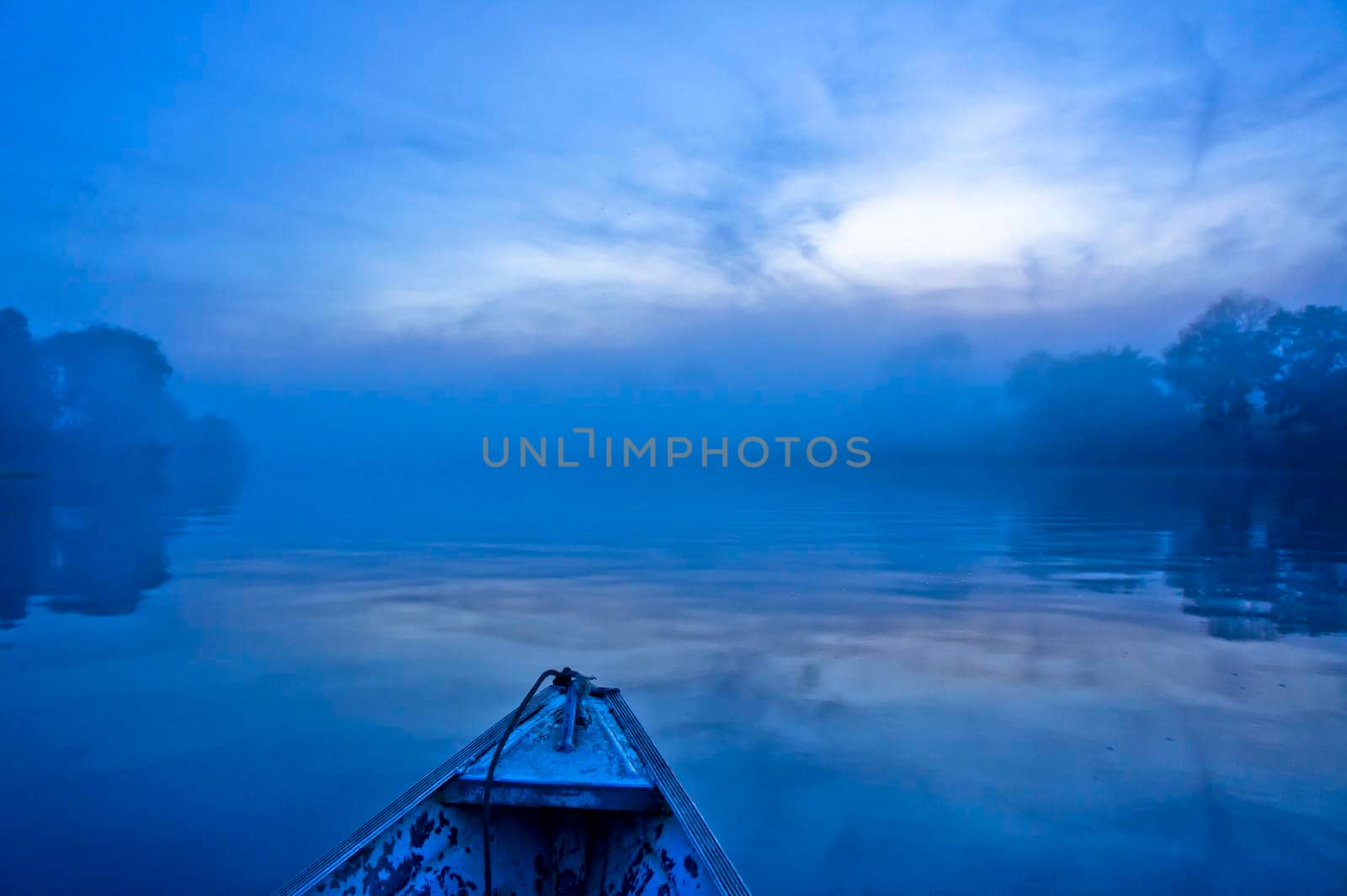 Amazon river, Sunrise view, Brazil, South America by giannakisphoto