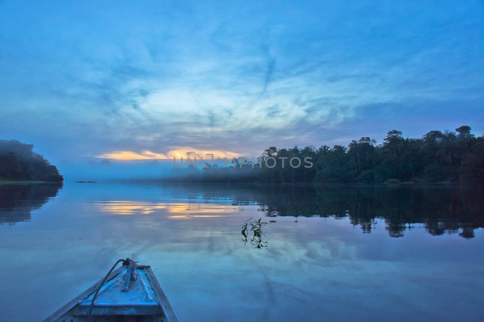 Amazon river, Sunrise view, Brazil, South America by giannakisphoto