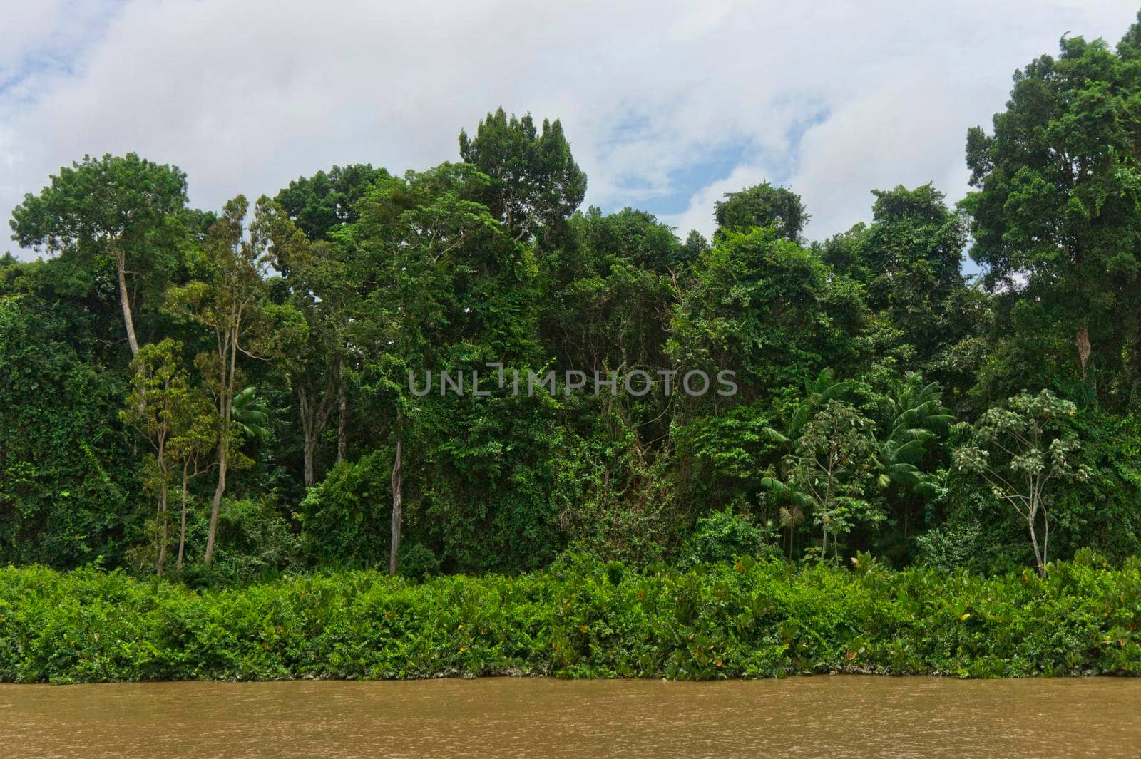 Amazon river view, Brazil, South America by giannakisphoto