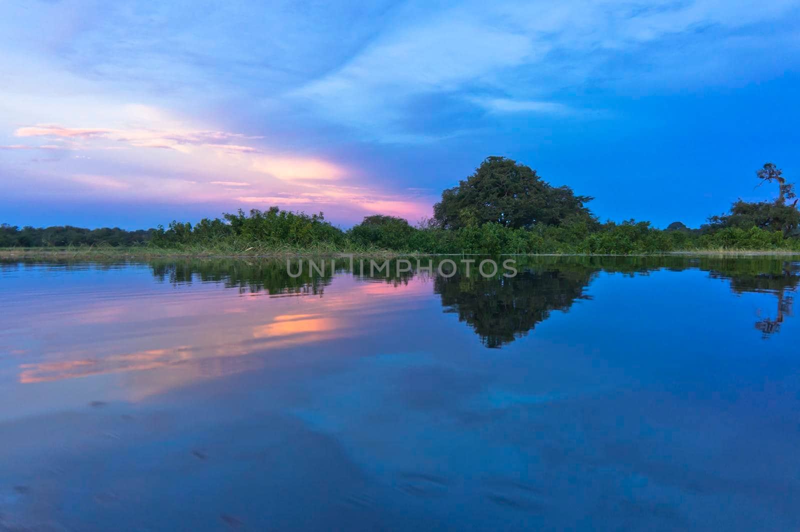 Amazon river, Sunset view, Brazil, South America by giannakisphoto