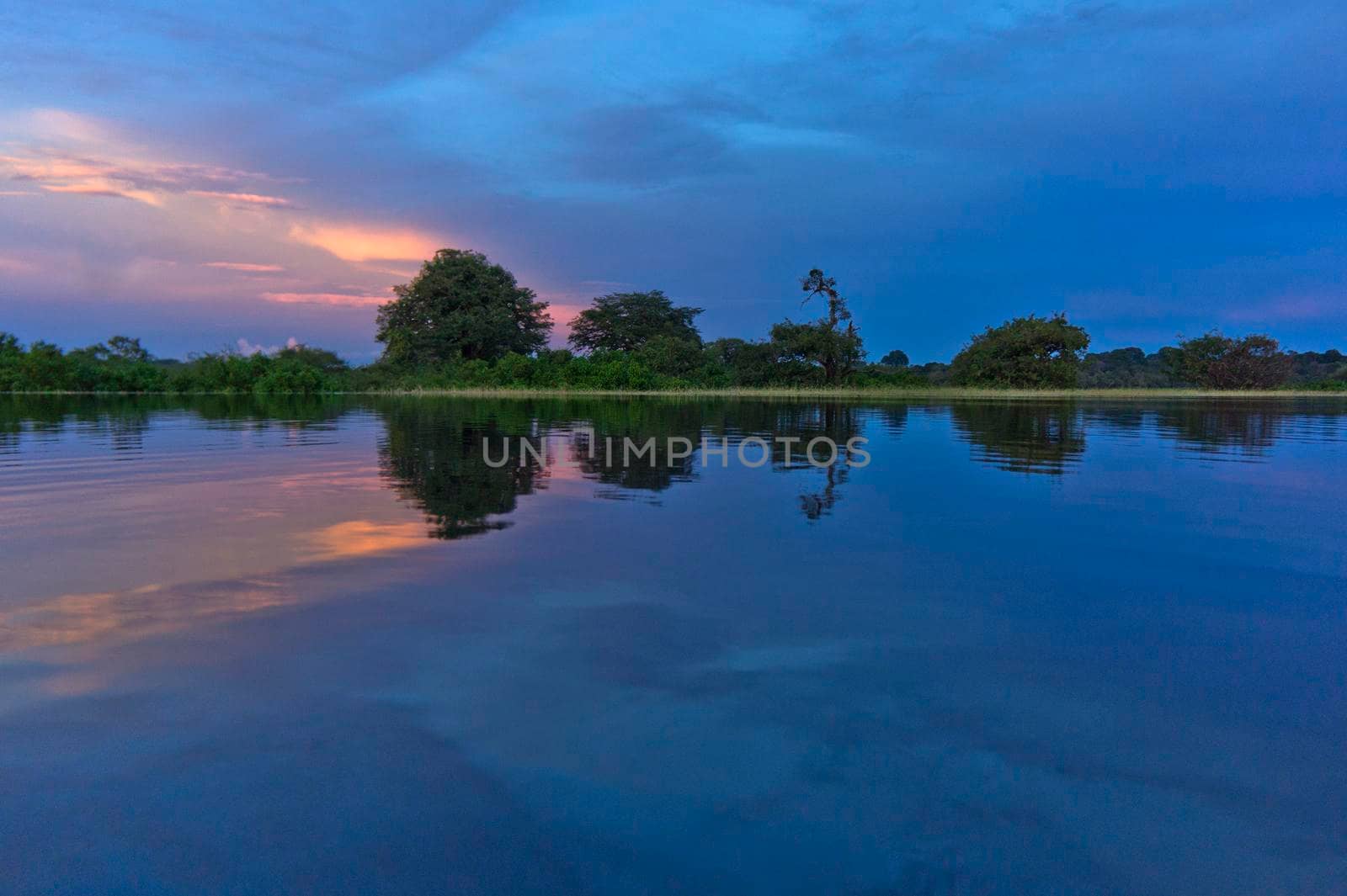 Amazon river, Sunset view, Brazil, South America