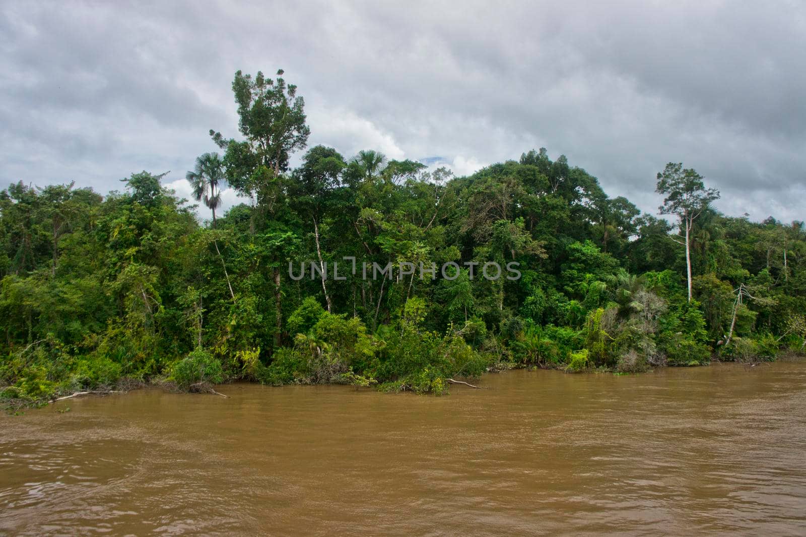Amazon river view, Brazil, South America by giannakisphoto