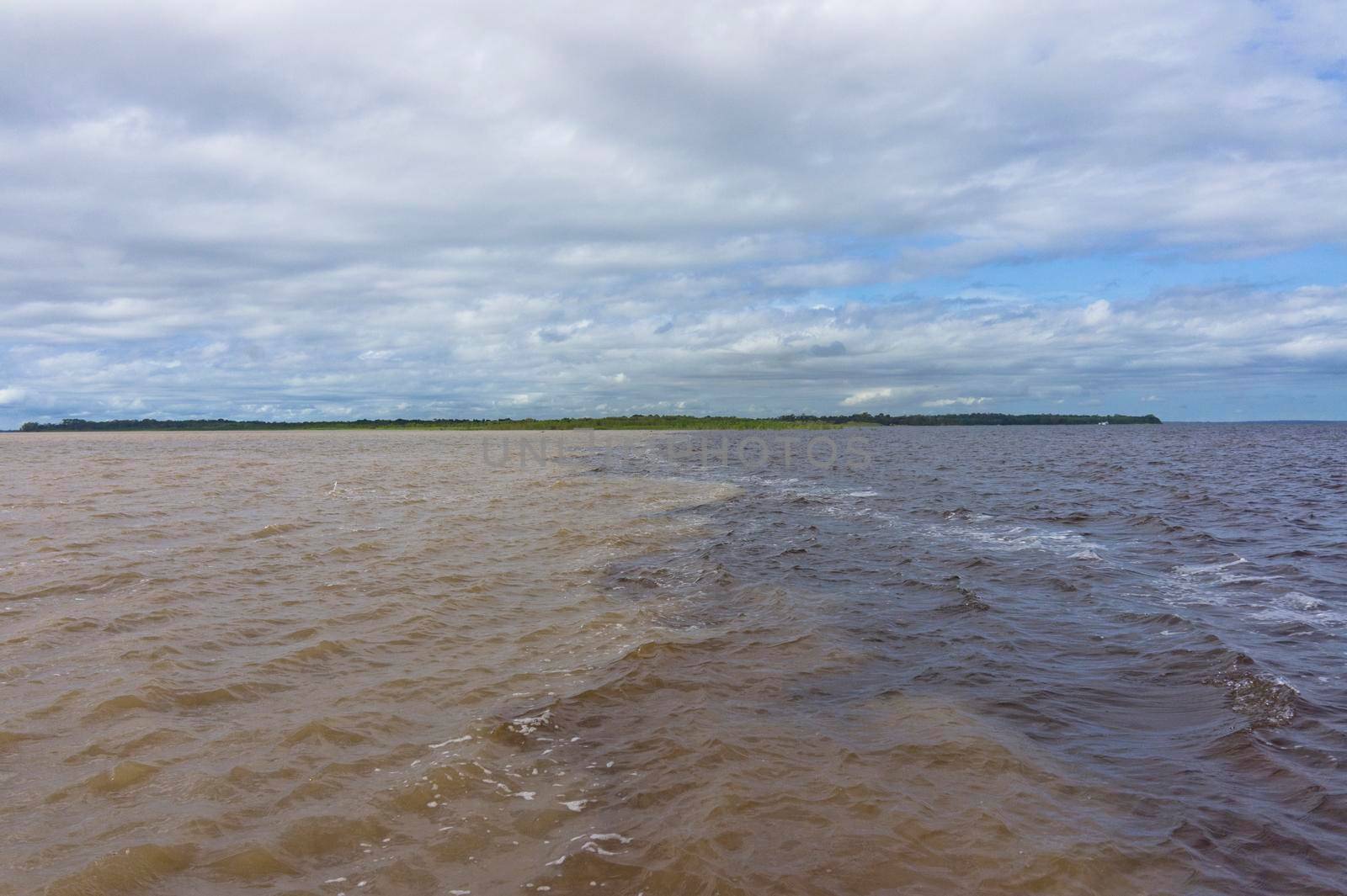 Amazon river, Meeting of Waters near Manaus, Brazil, South America
