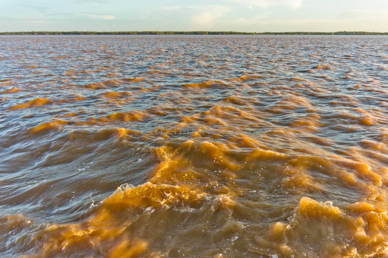 Amazon river view, Brazil, South America by giannakisphoto