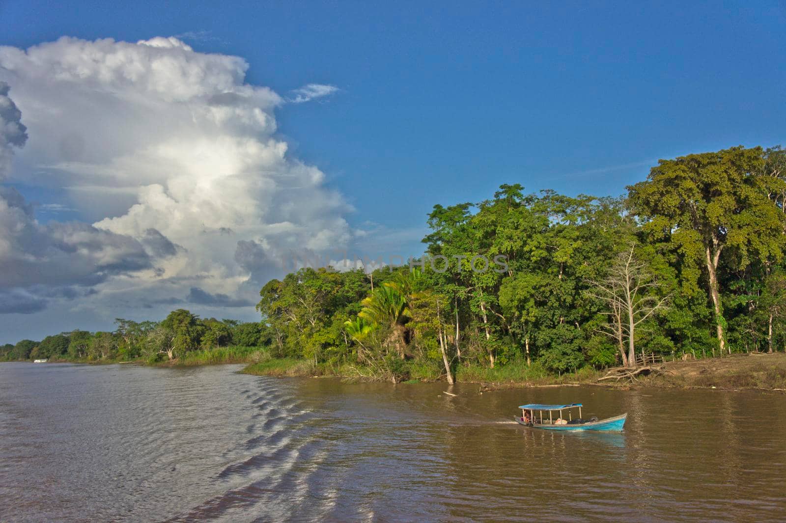 Amazon river view, Brazil, South America