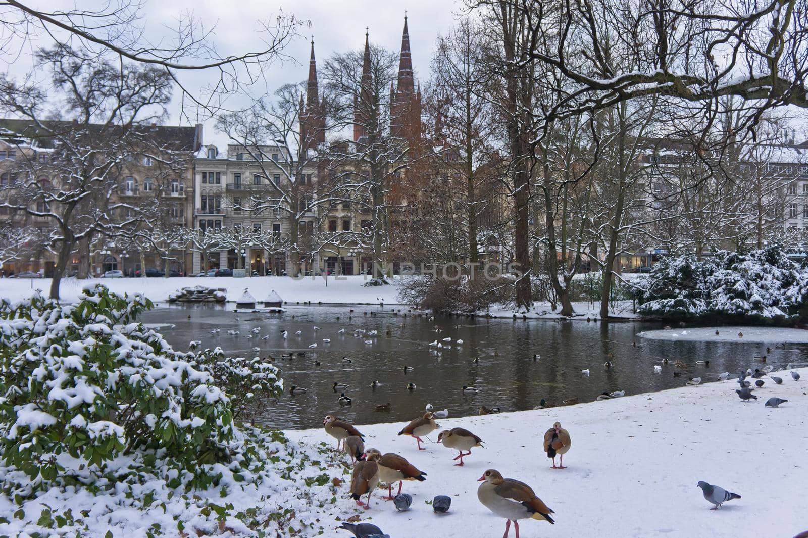 Wiesbaden, Snowy day city view, Germany, Europe