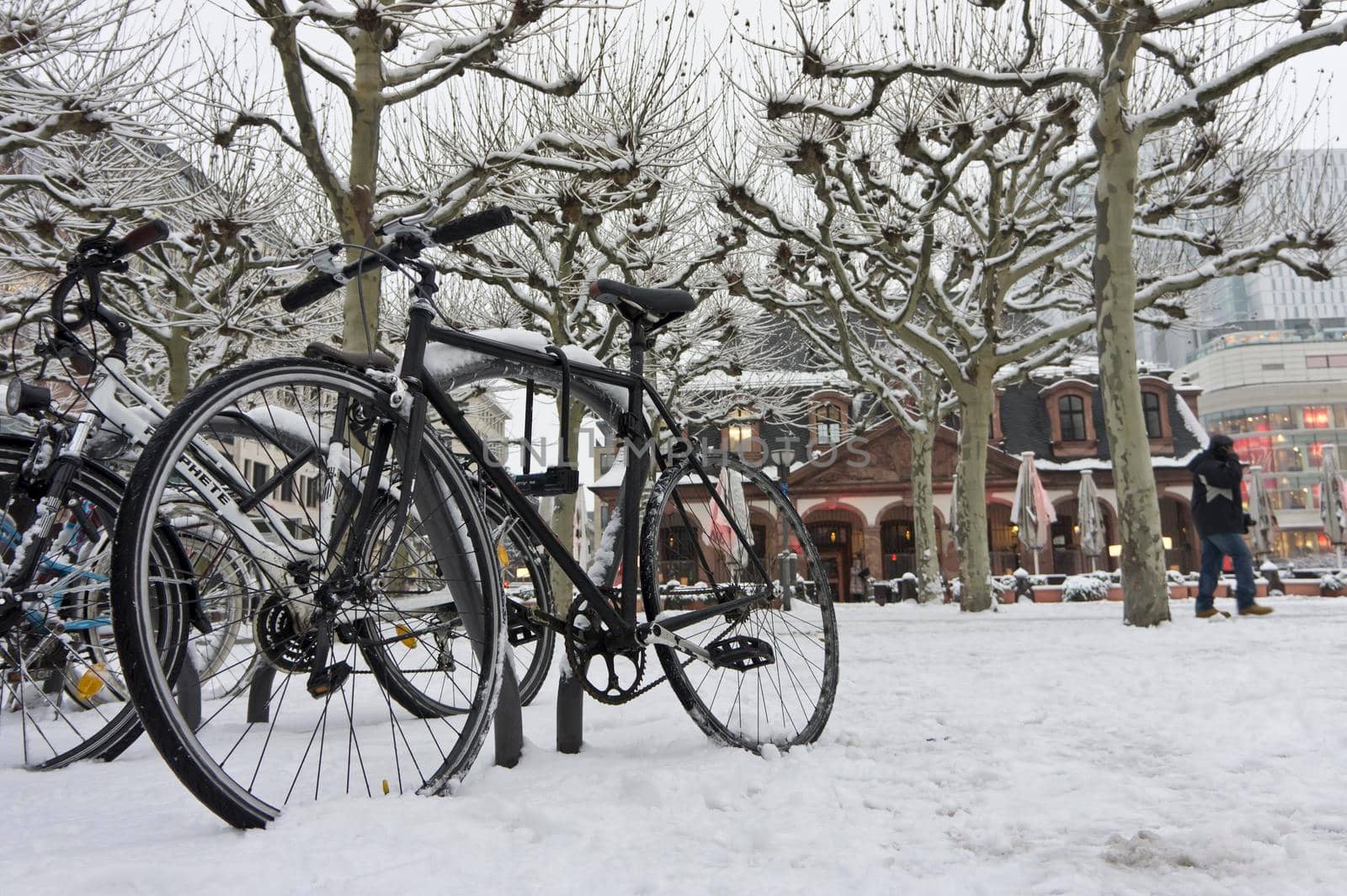 Frankfurt, Snowy day old city view, Snowy Bicycle, Germany, Europe by giannakisphoto