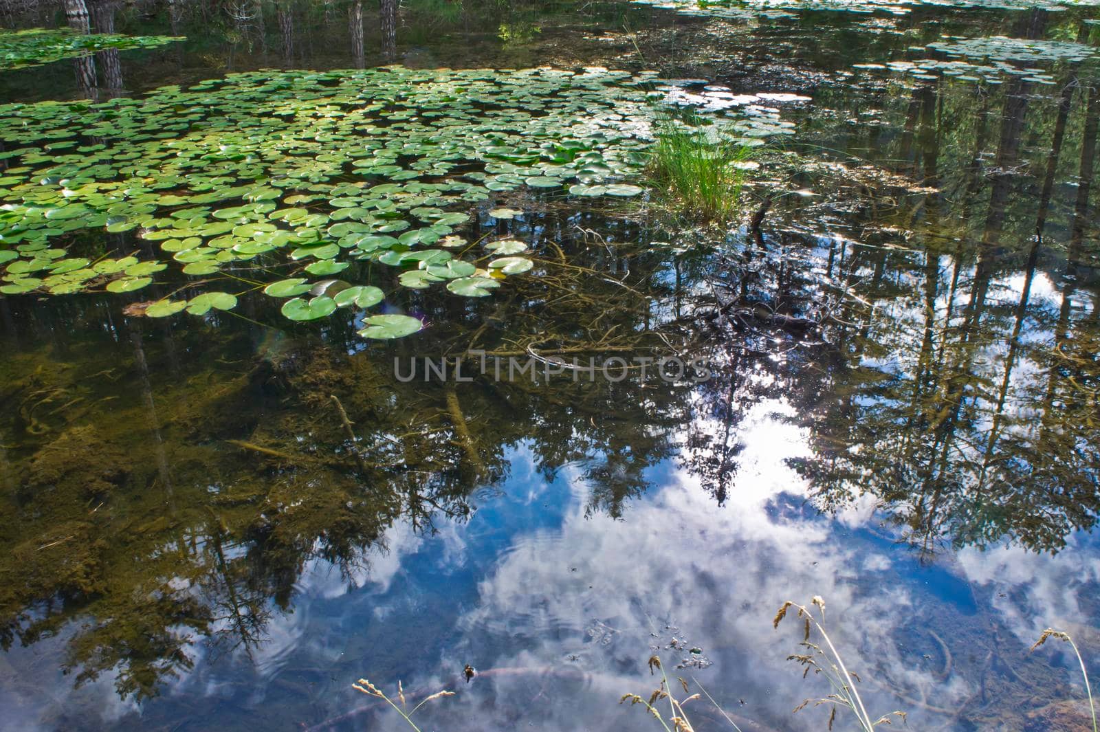 Small lake mirroring, Natural landscape in Epirus, Ioannina, Greece