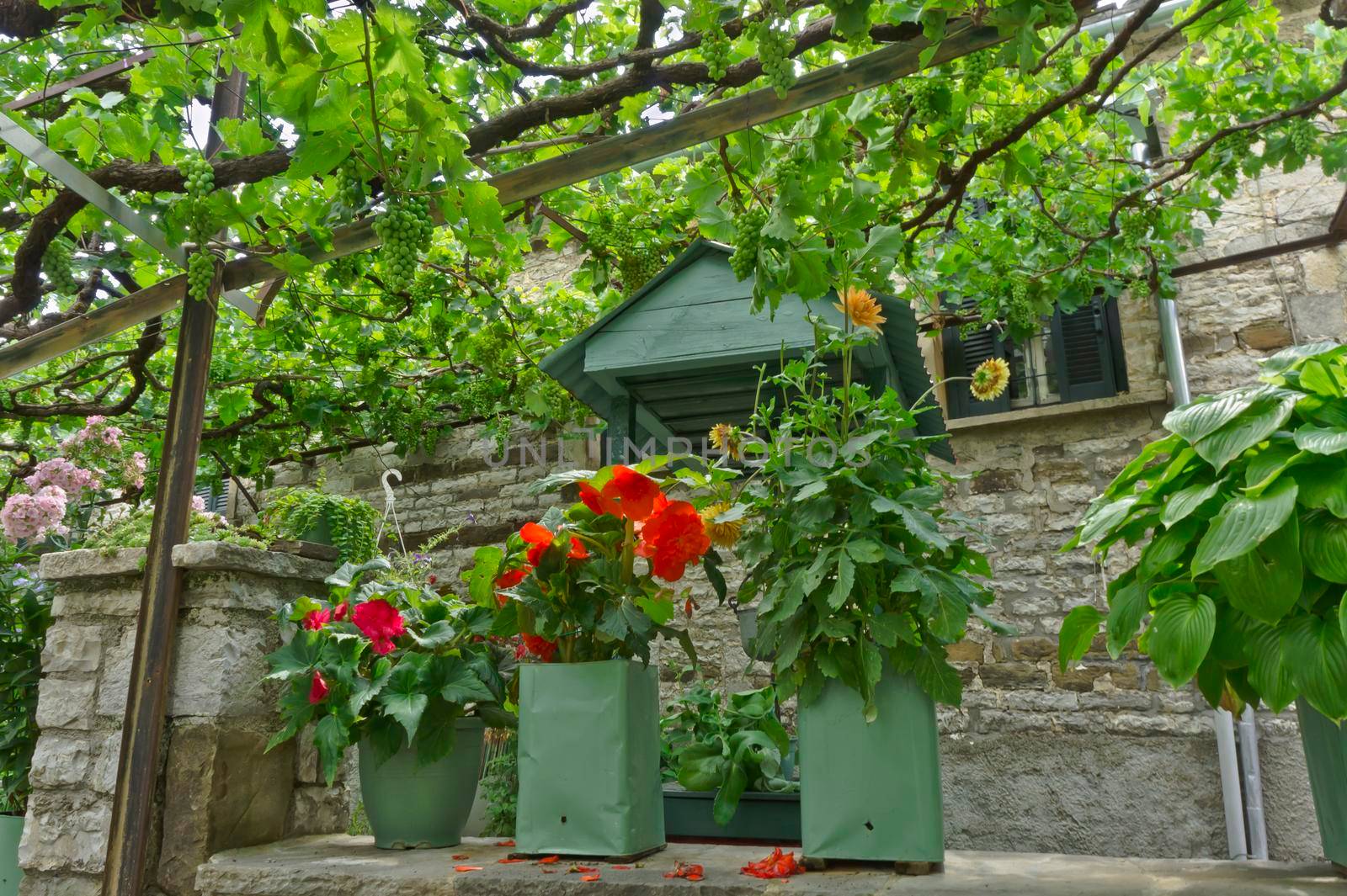 Papingo Epirus, Old stone village street view, Greece, Europe