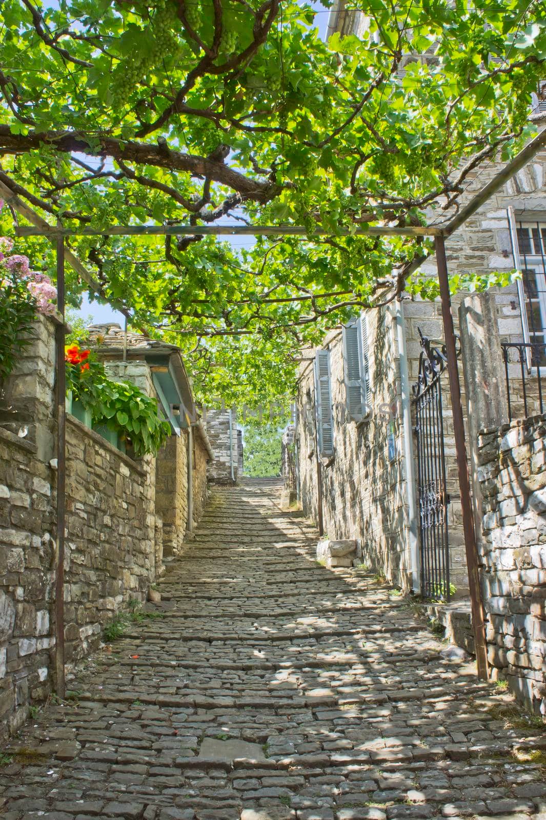 Papingo Epirus, Old stone village street view, Greece, Europe by giannakisphoto