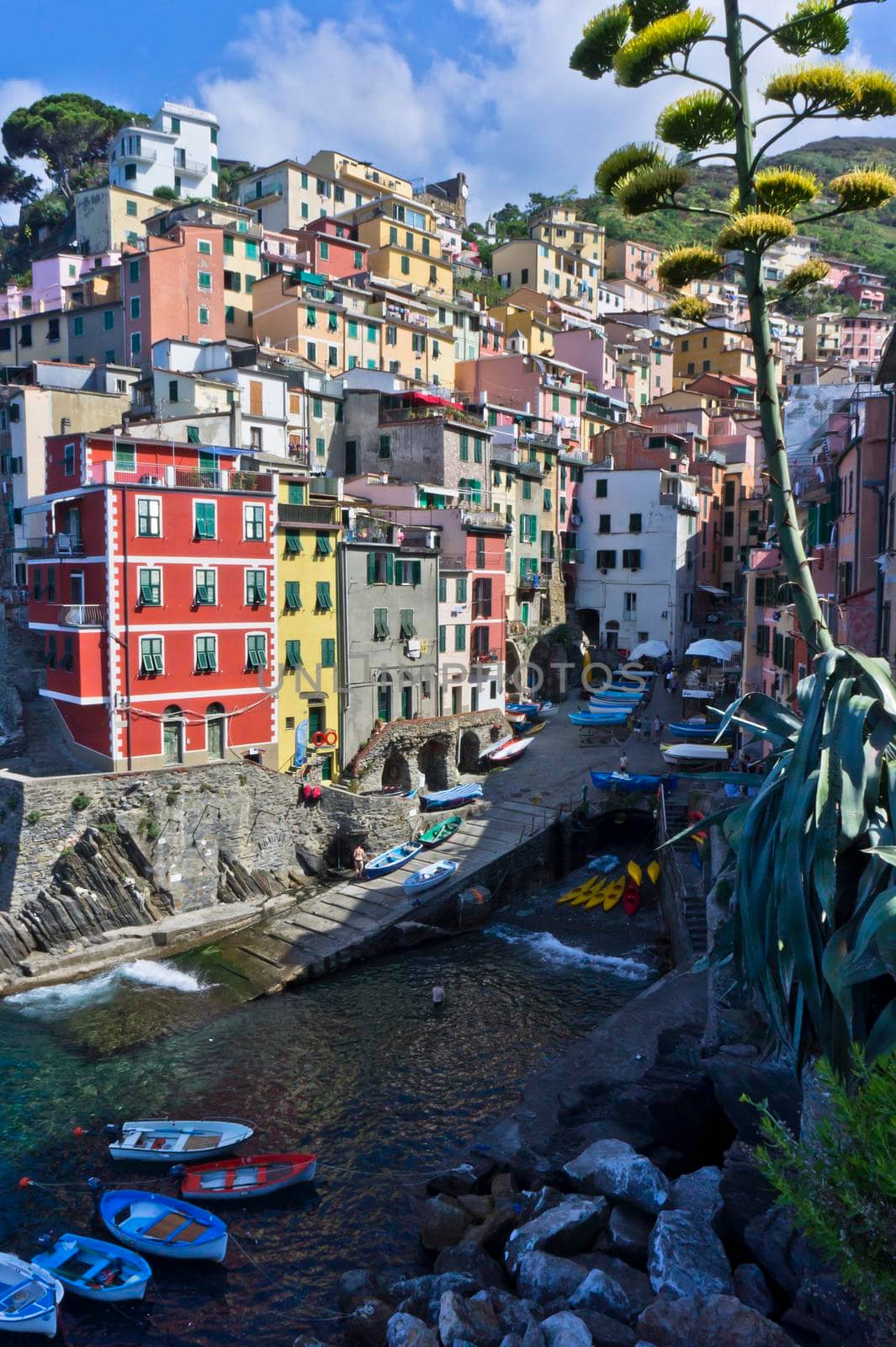 Riomaggiore Cinque Terre, Old city view, Italy, Europe by giannakisphoto