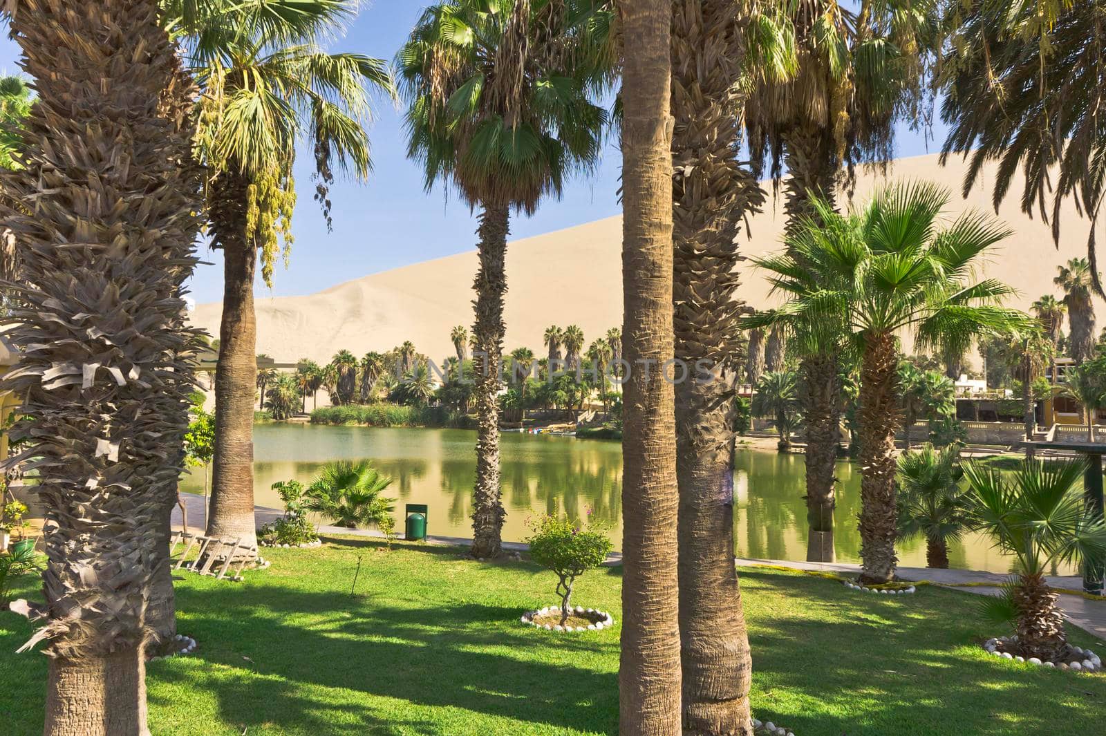 Huacachina oasis, Ica, Peru, South America by giannakisphoto