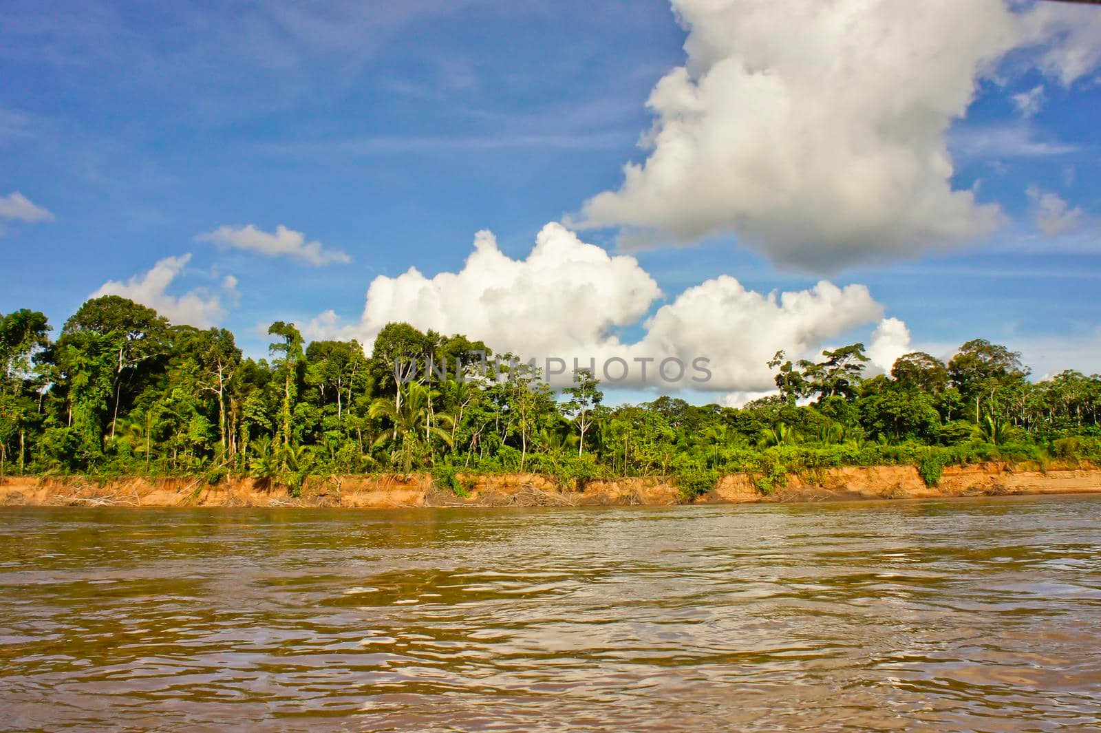 Amazon Basin, Peru, South America by giannakisphoto