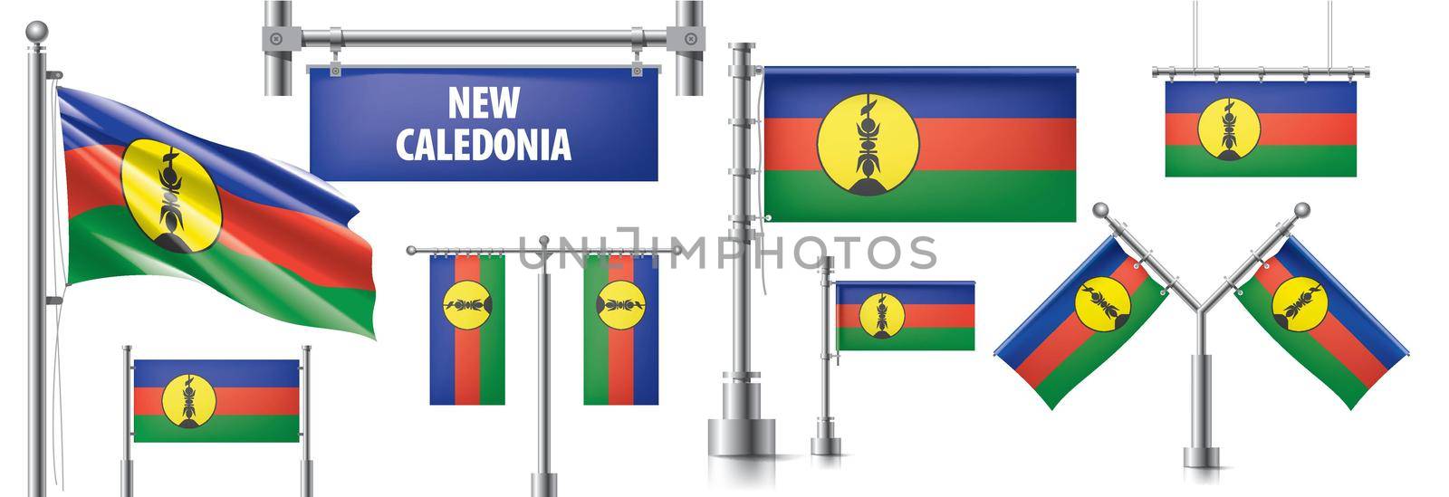 Vector set of the national flag of New Caledonia in various creative designs by butenkow