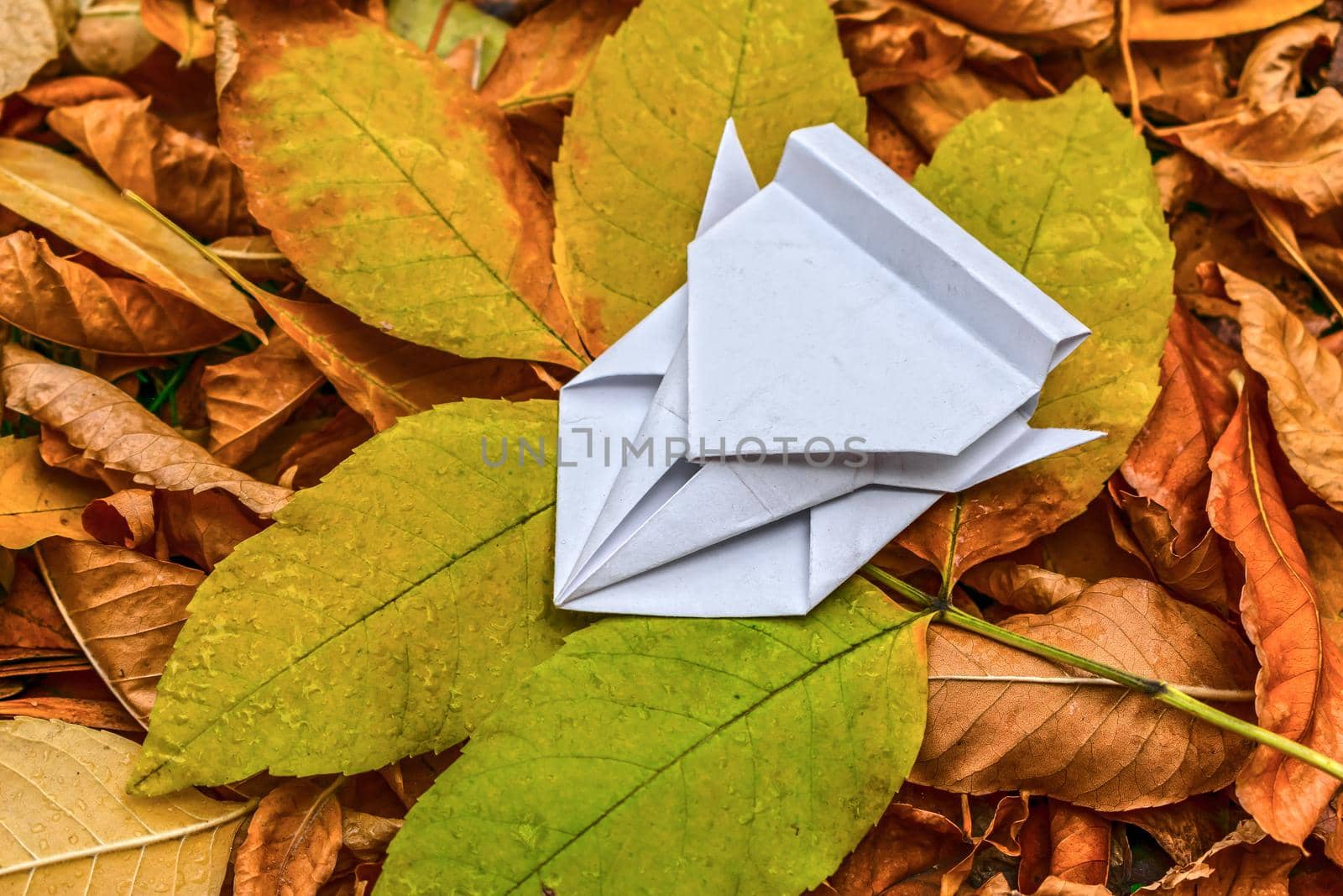 Origami paper folding art in the form of a paper racing car lying on autumn foliage