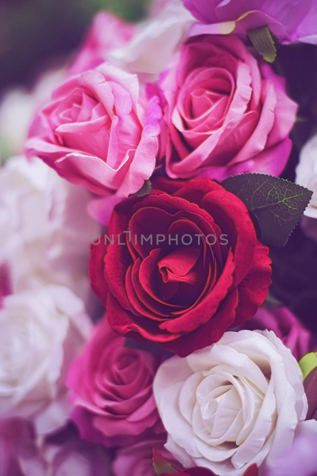 Roses as floral decoration for wedding and flower shop decor concept