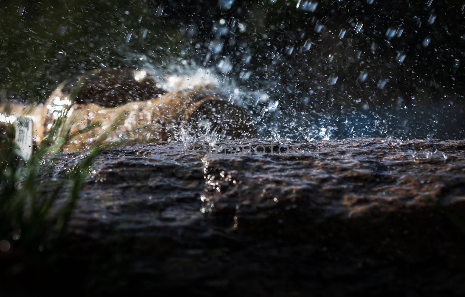 Wet stone and decorative antique urn in the rain. Rain water drop falling to the stone. Water is flowing and splashing around them.