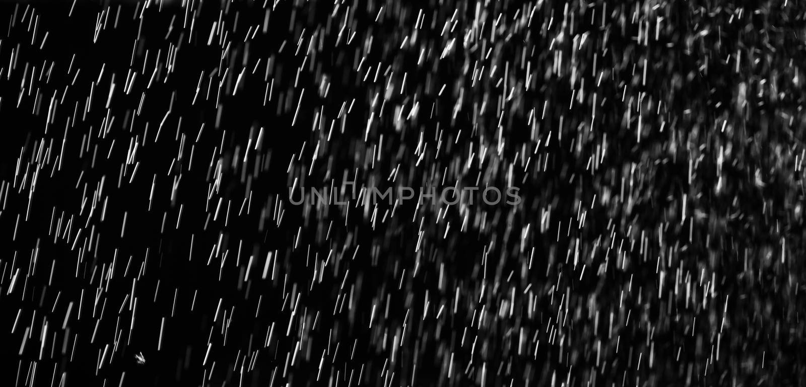 Rain on black. Abstract splashes of water on a black background for screen blending mode and photo retouching.