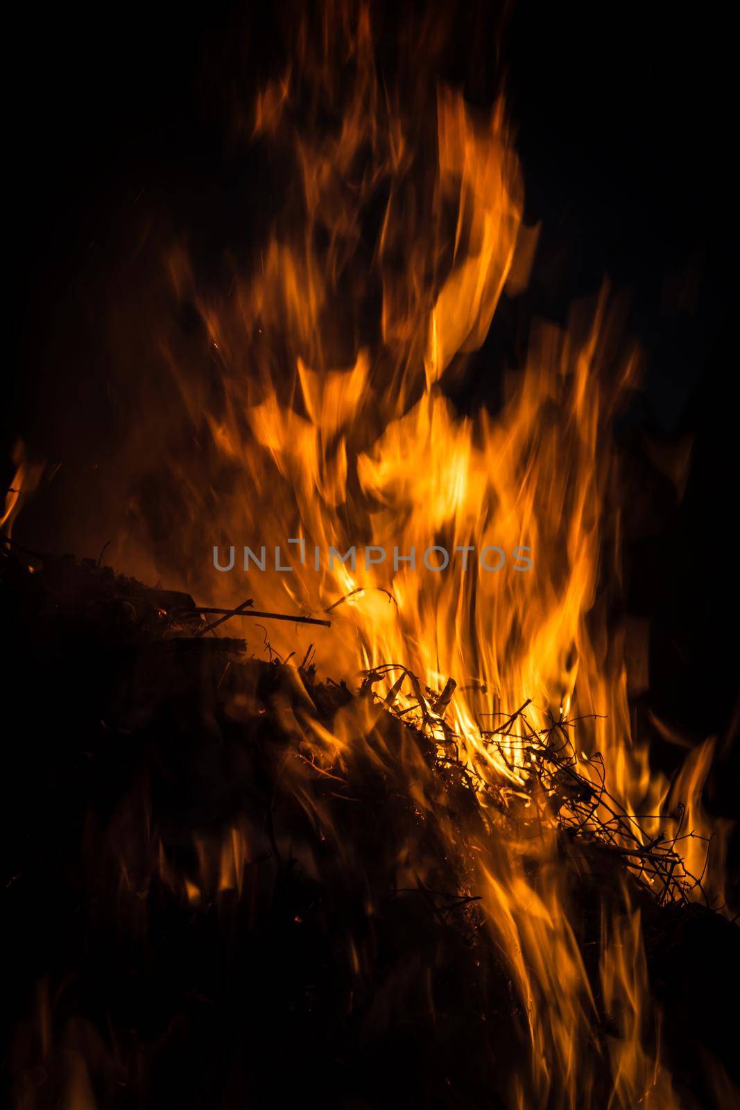 Flames of bonfire at night. Fire flames on a black background