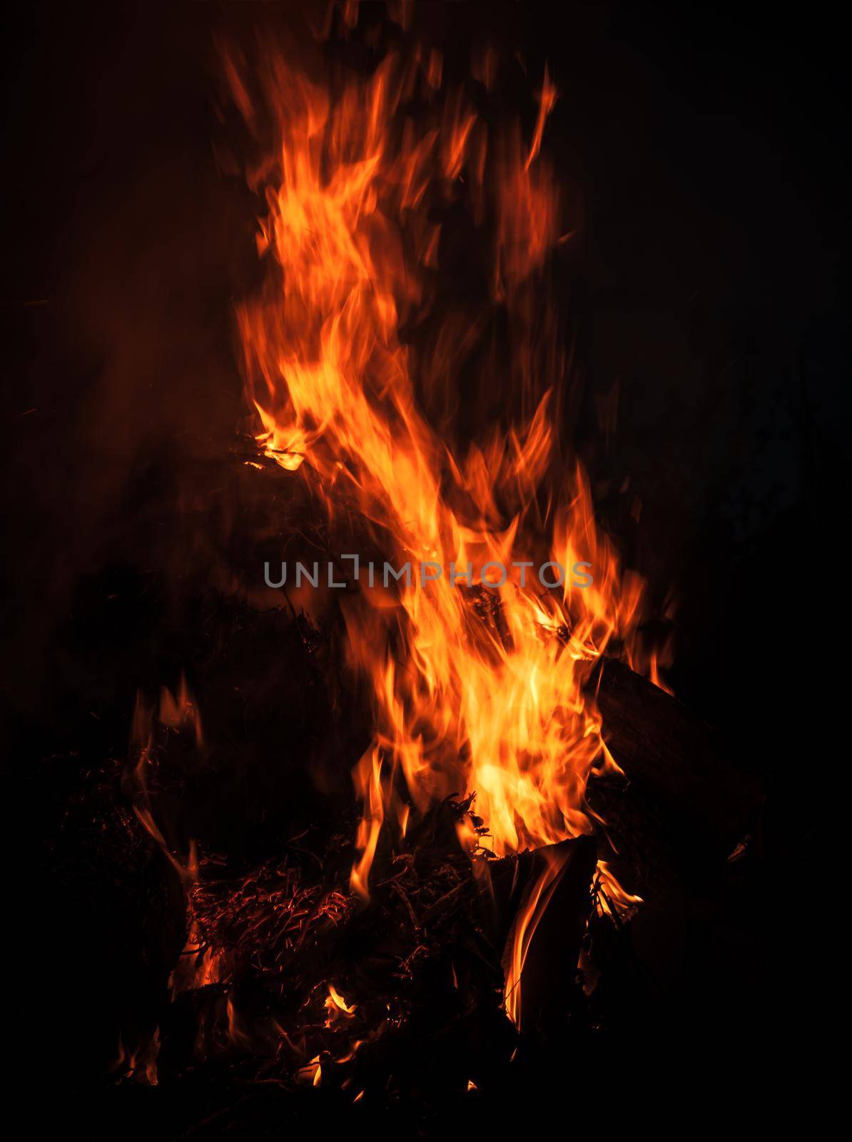 Flames of bonfire at night. Fire flames on a black background