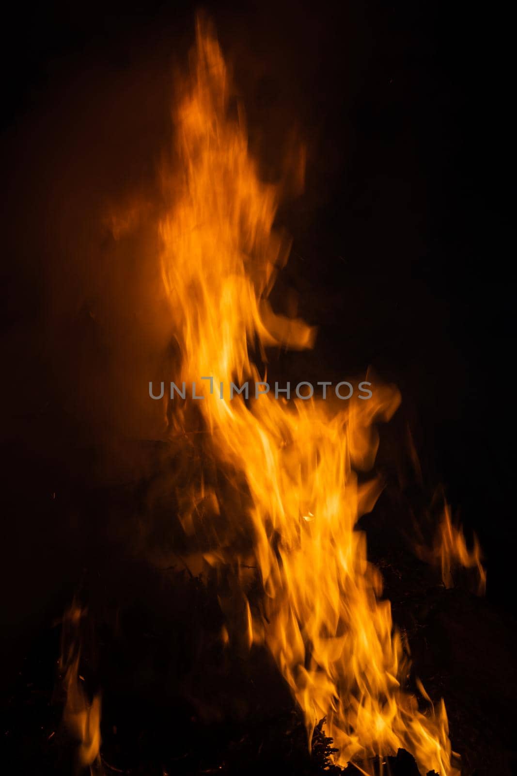 Flames of bonfire at night. Fire flames on a black background