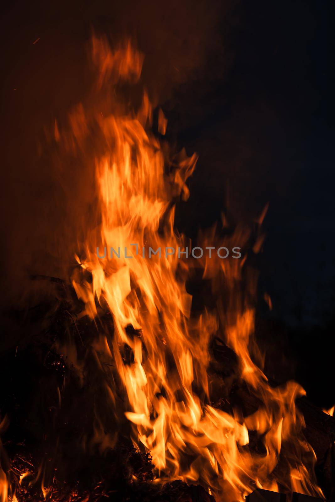 Flames of bonfire at night. Fire flames on a black background