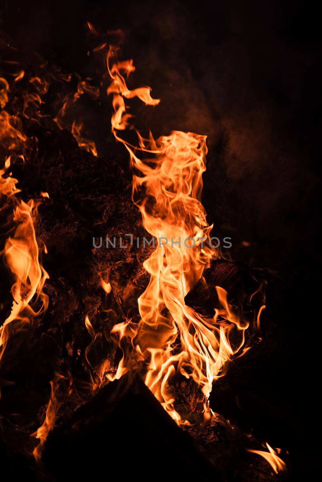 Flames of bonfire at night. Fire flames on a black background