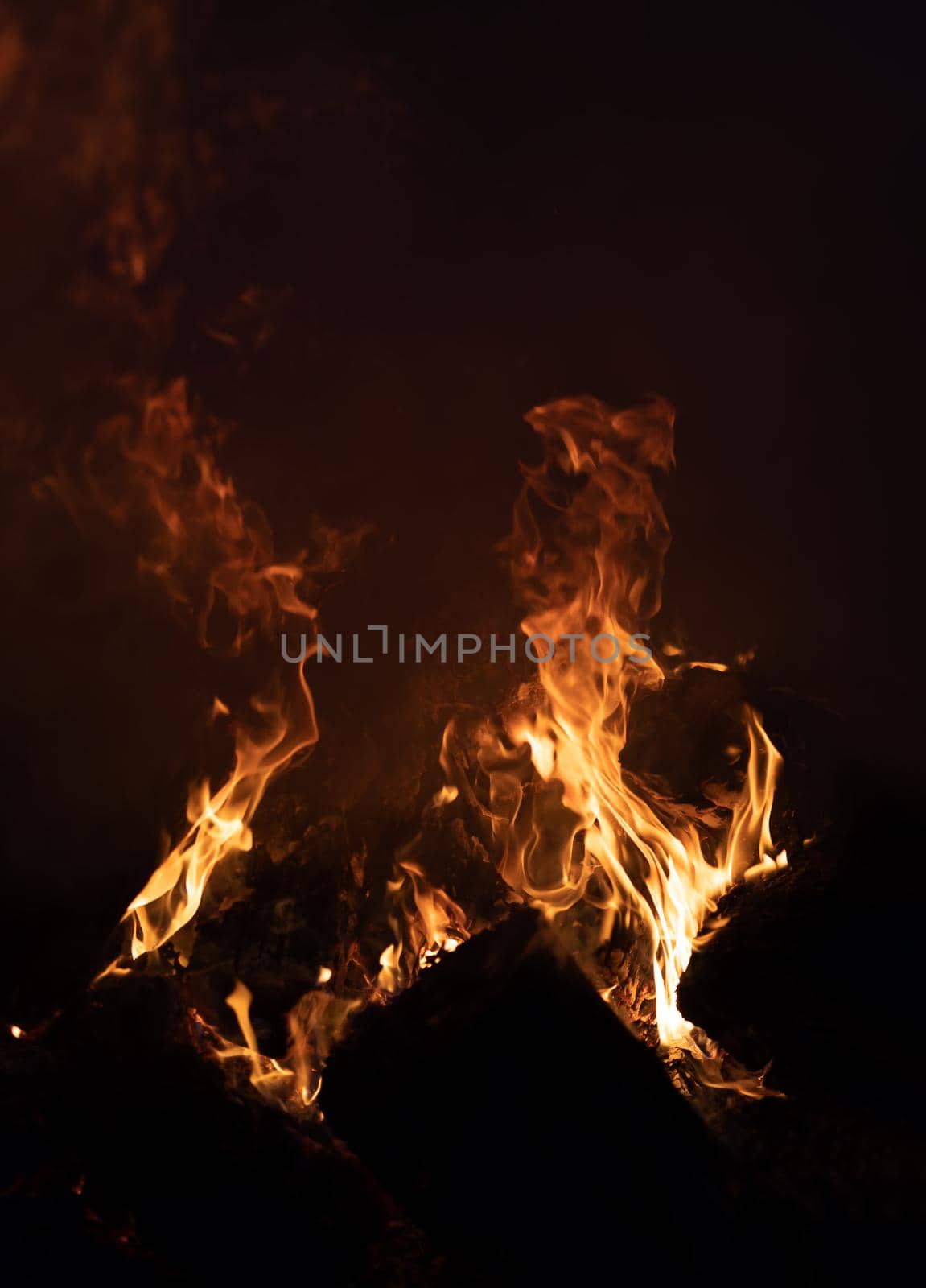 Flames of bonfire at night. Fire flames on a black background