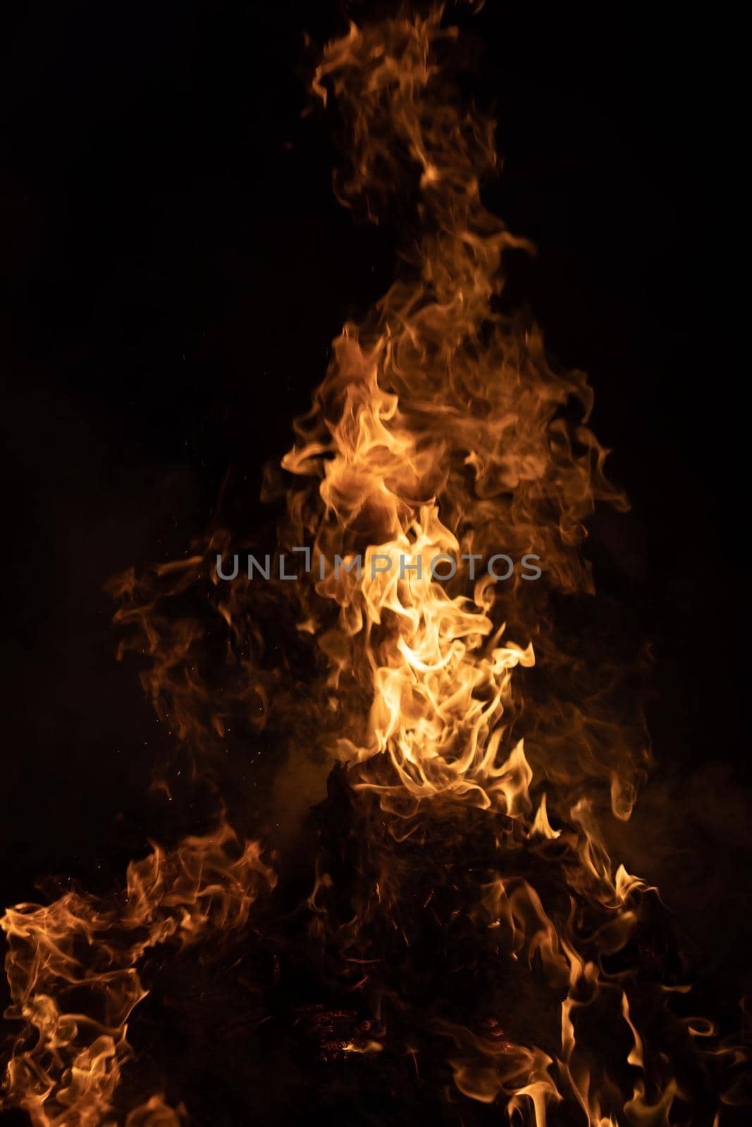 Flames of bonfire at night. Fire flames on a black background