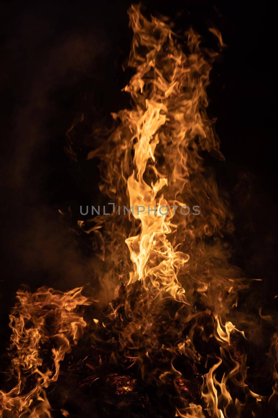 Flames of bonfire at night. Fire flames on a black background
