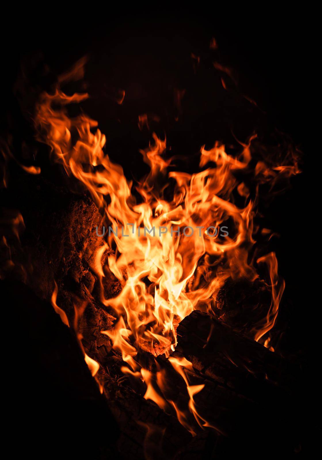 Flames of bonfire at night. Fire flames on a black background