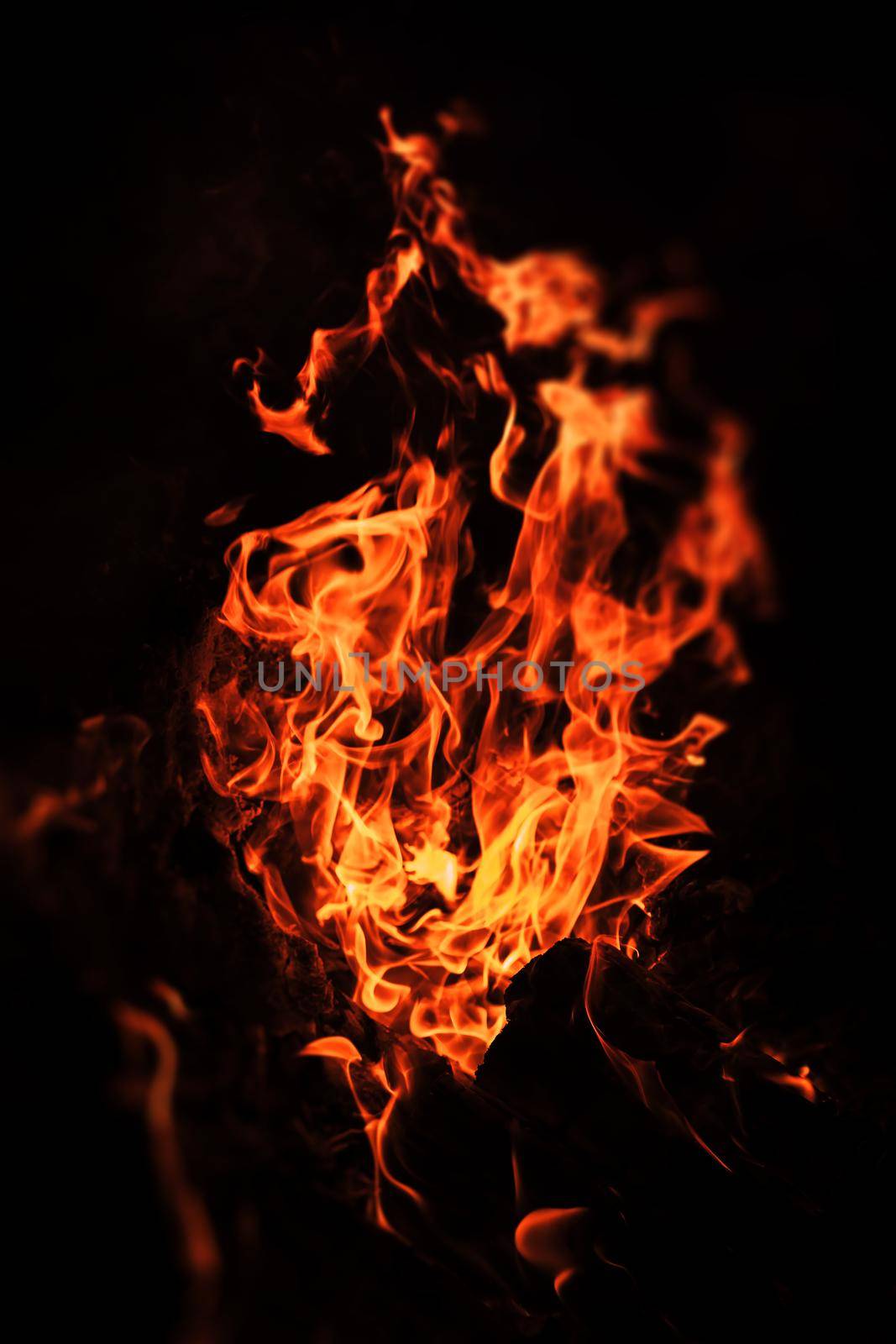 Flames of bonfire at night. Fire flames on a black background