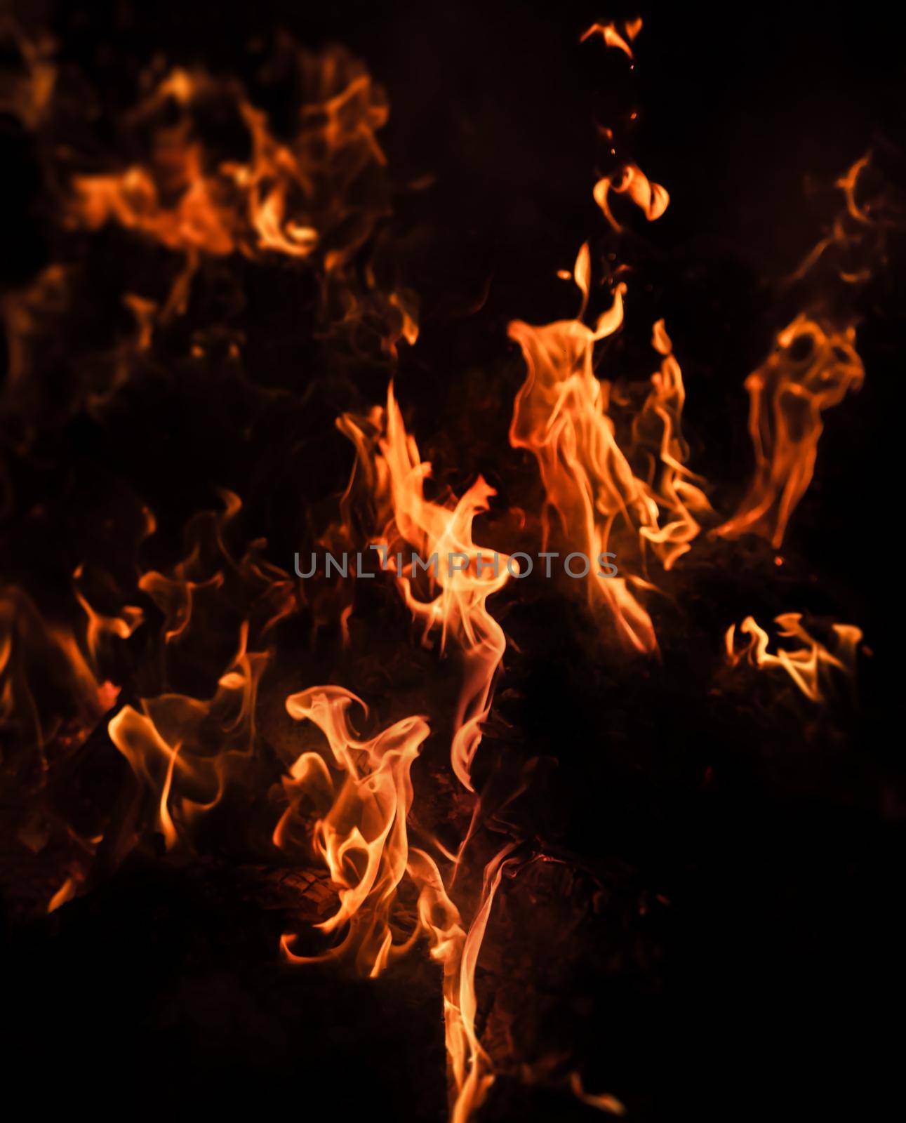 Flames of bonfire at night. Fire flames on a black background