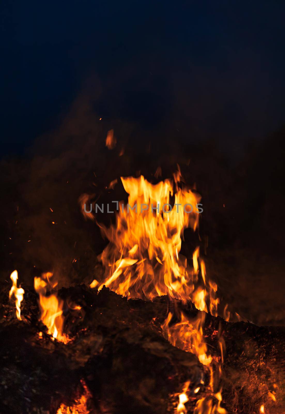 Flames of bonfire at night. Fire flames on a black background