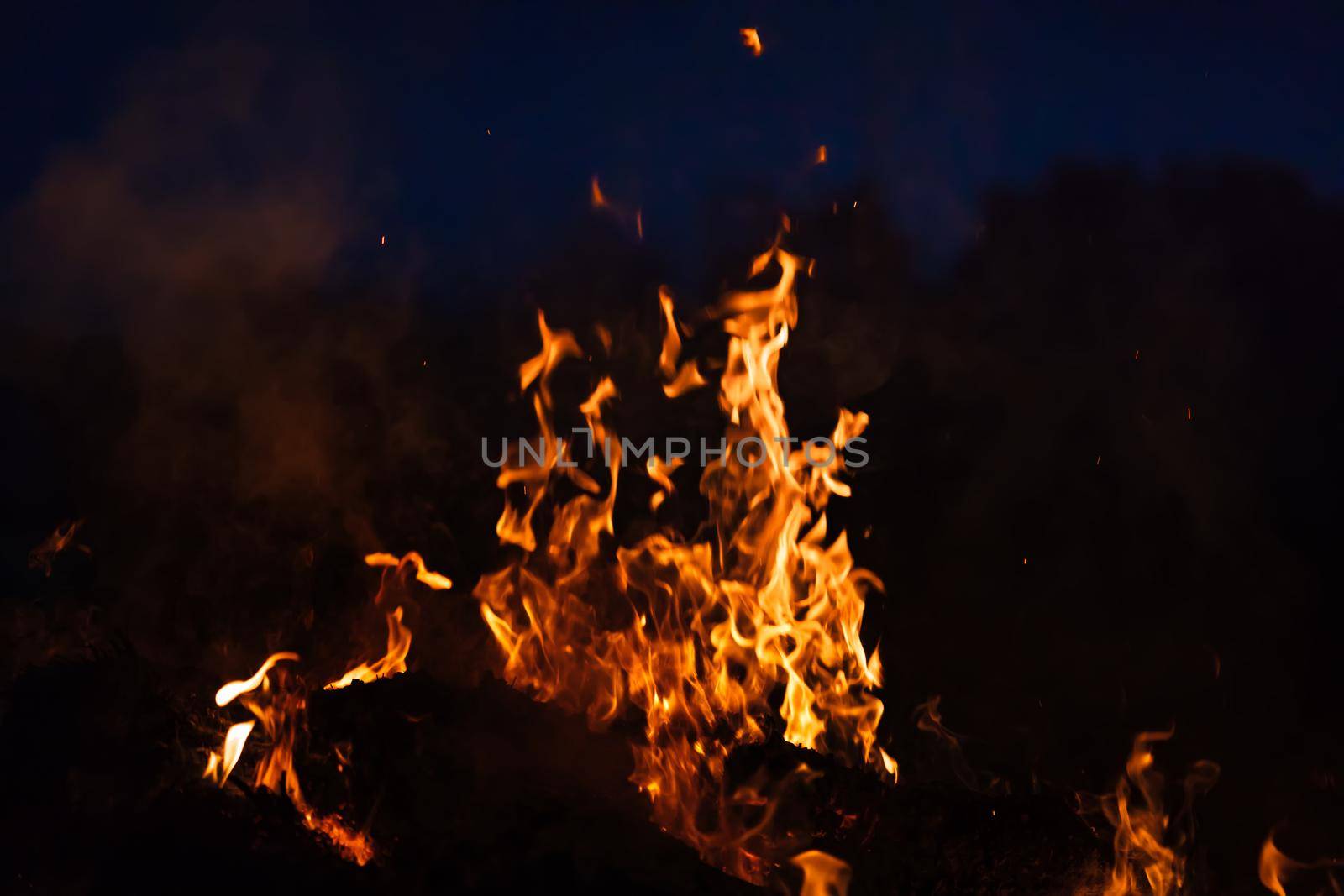 Flames of bonfire at night. Fire flames on a black background