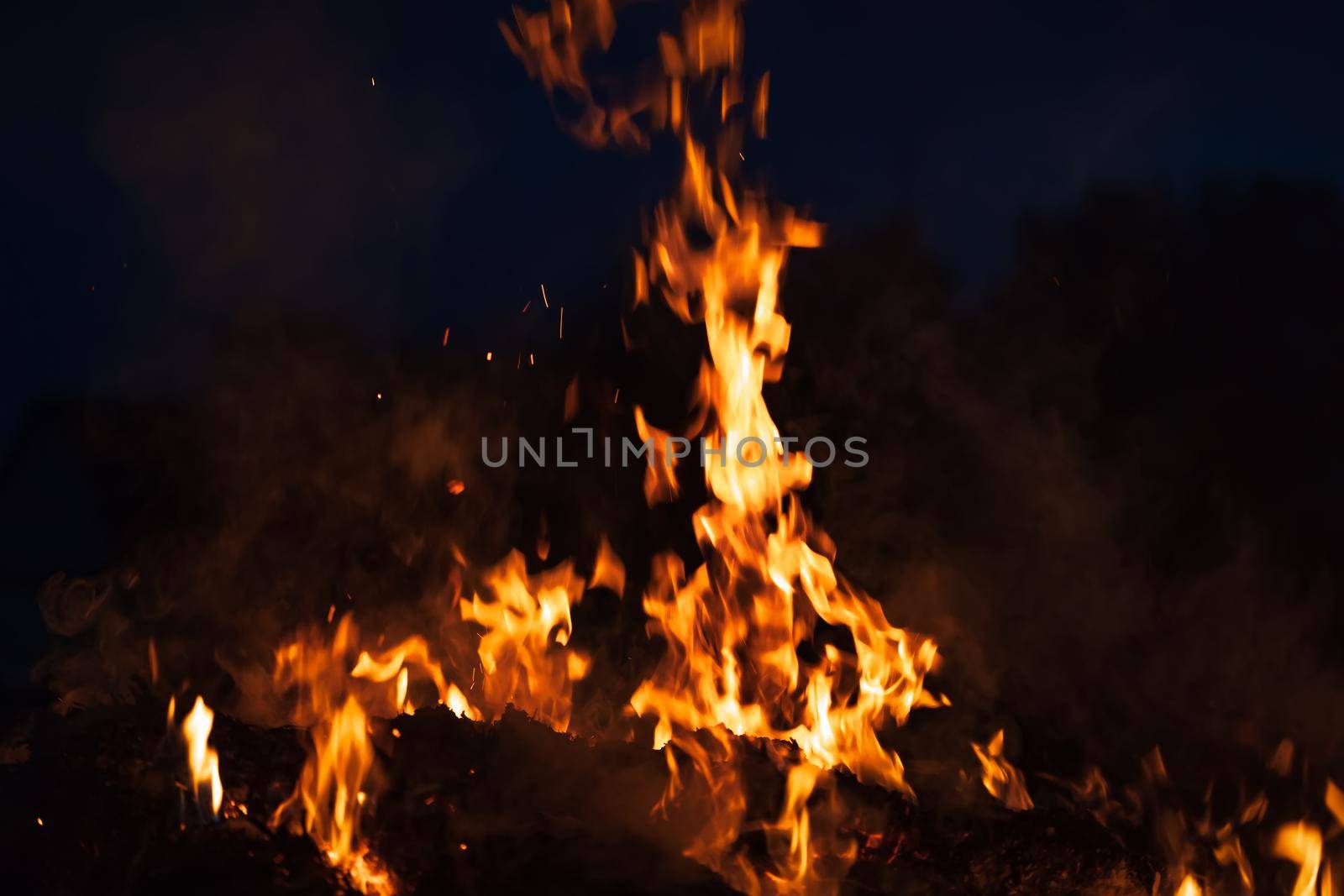 Flames of bonfire at night. Fire flames on a black background
