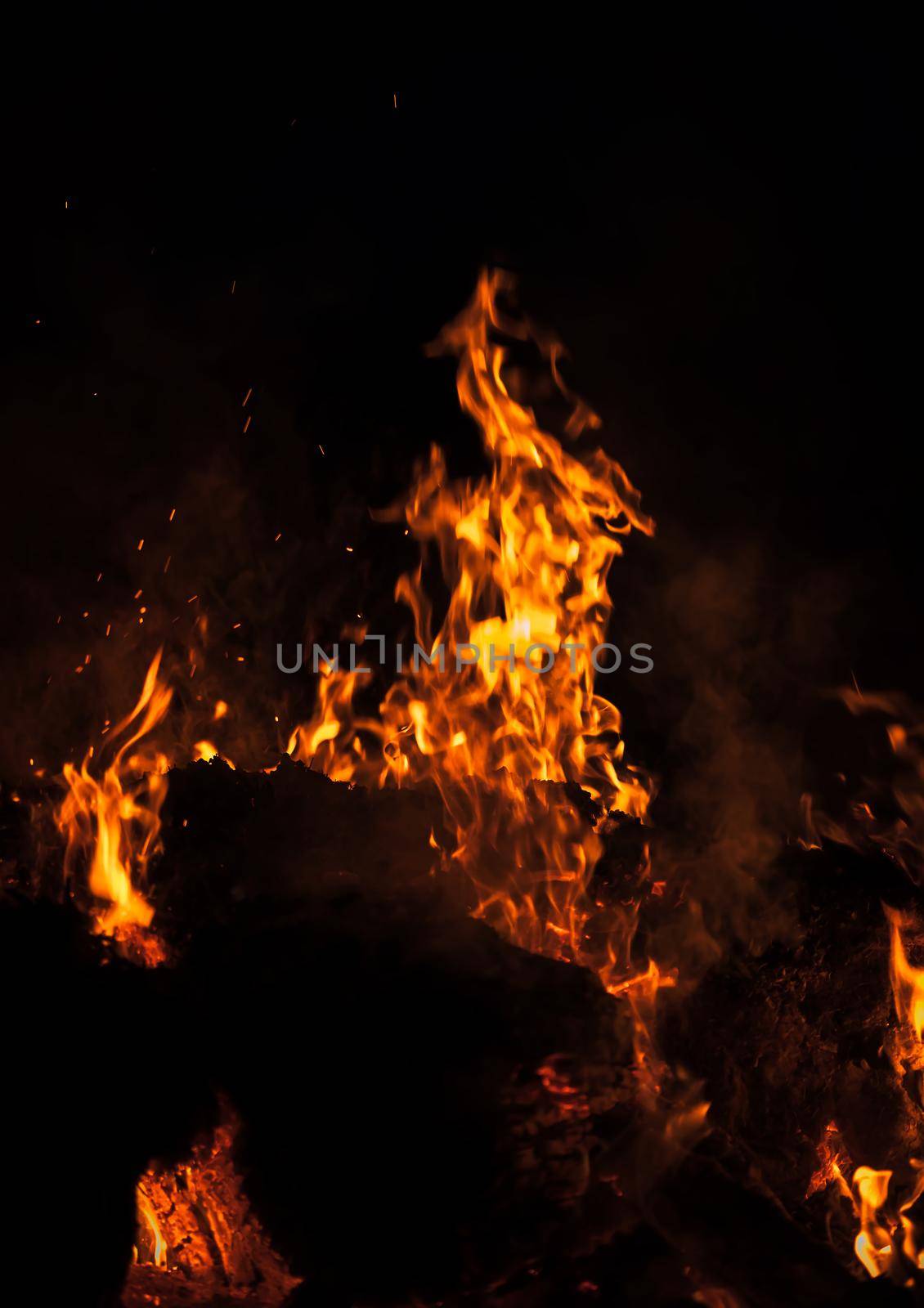 Flames of bonfire at night. Fire flames on a black background