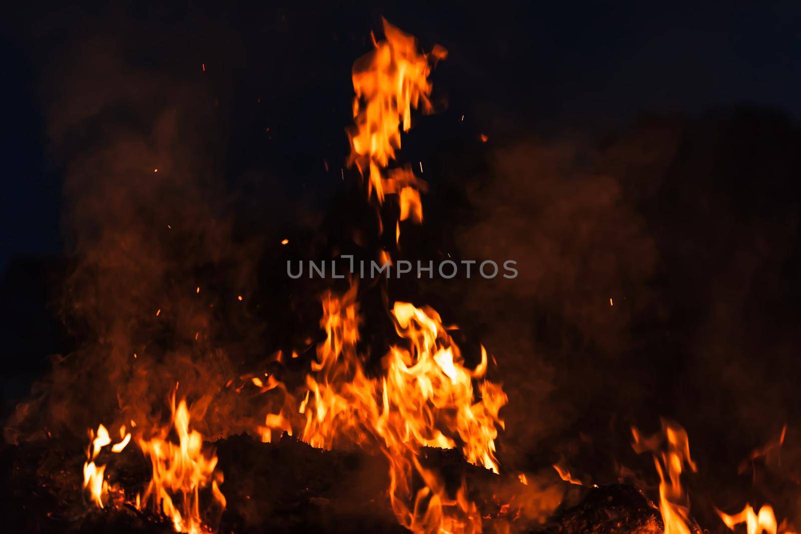 Flames of bonfire at night. Fire flames on a black background
