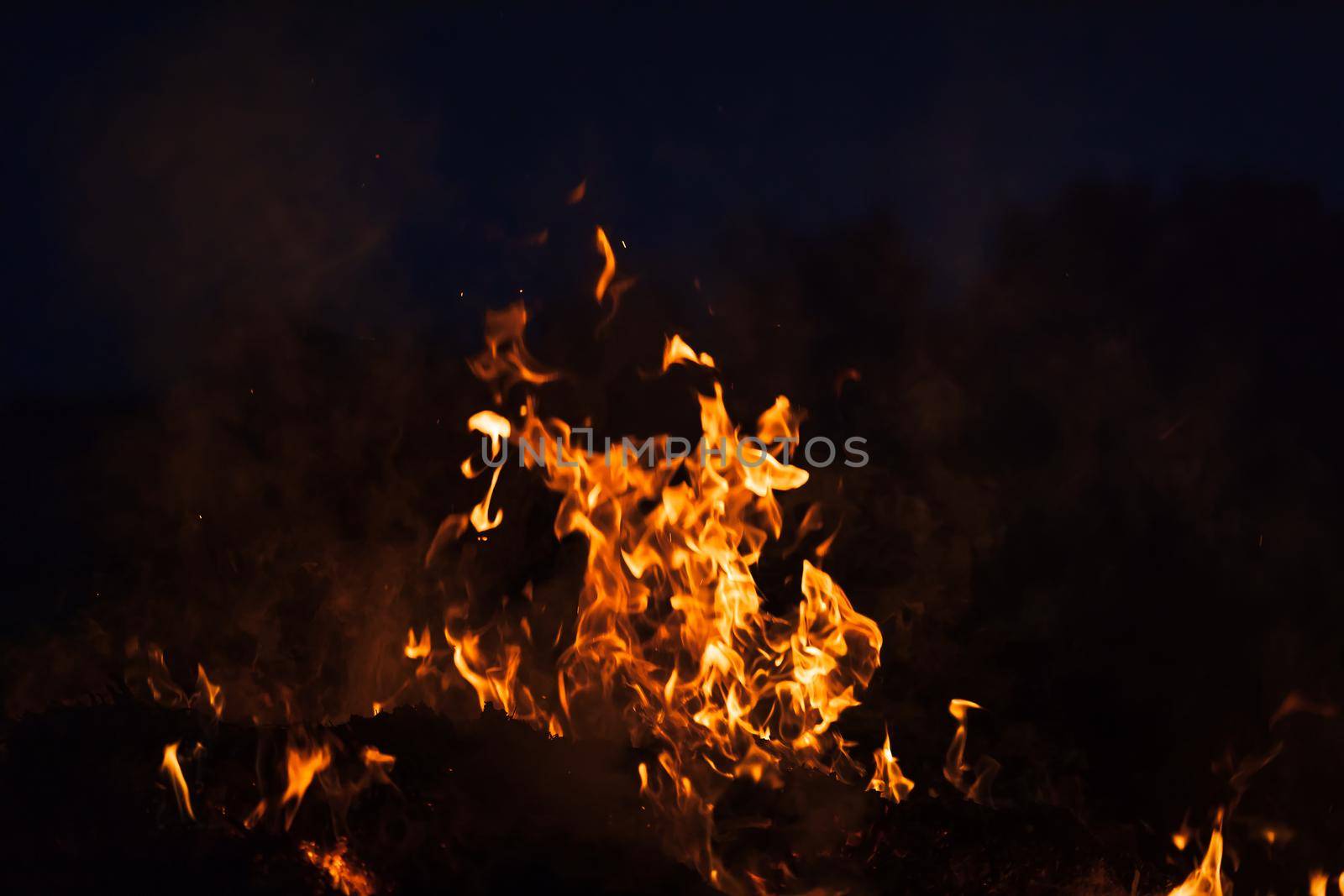 Flames of bonfire at night. Fire flames on a black background