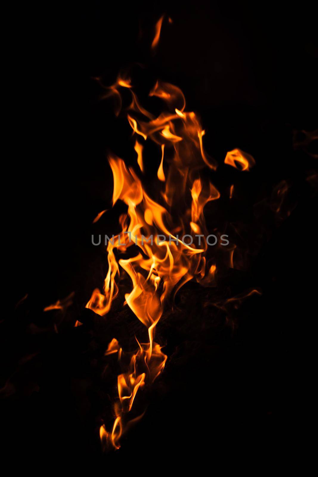 Flames of bonfire at night. Fire flames on a black background