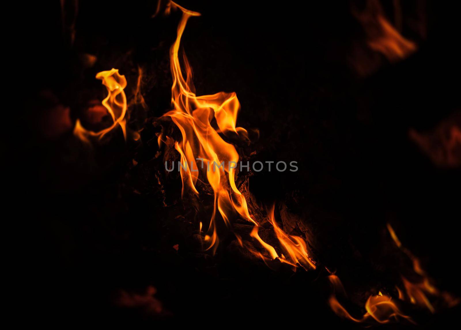 Flames of bonfire at night. Fire flames on a black background