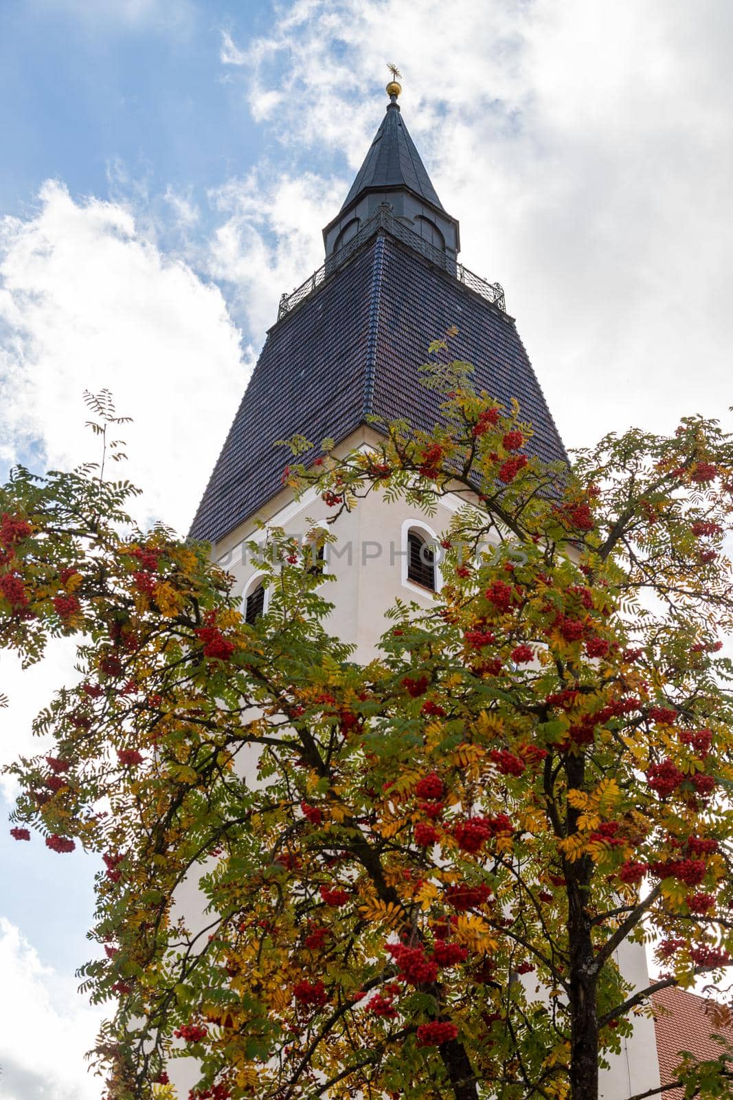 Tower of the parish church of St. Lorenz in Berching, Bavaria in autumn with multicolored tree in foreground at a sunny day