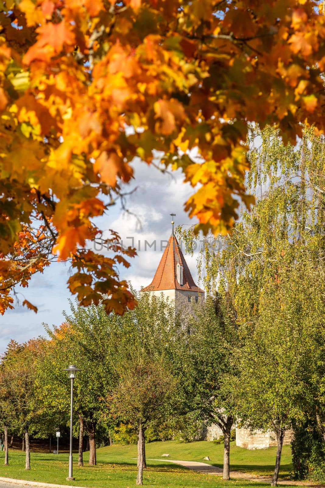 Autumn landscape with multicolored trees and city wall with tower in Berching, Bavaria on a sunny day